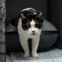 Thumbnail photo of Bella #3