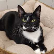 Thumbnail photo of Peta #4