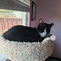 Thumbnail photo of Harry #4