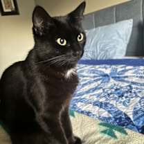 Thumbnail photo of Flora #1