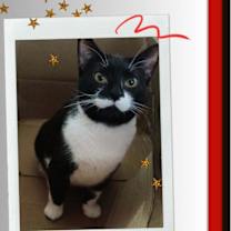 Thumbnail photo of Sally - Cutie! #1