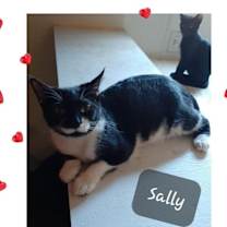 Thumbnail photo of Sally - Cutie! #2