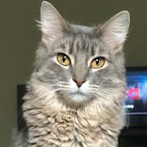 Thumbnail photo of Kiki #2