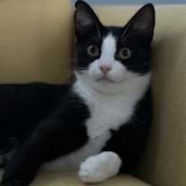 Thumbnail photo of Buddy #1