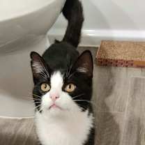 Thumbnail photo of Buddy #2