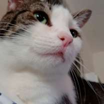 Thumbnail photo of Amberly #4