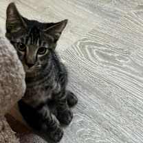 Thumbnail photo of Kaci #1