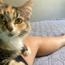 Thumbnail photo of Mira #2