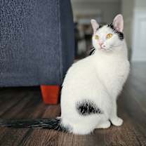 Thumbnail photo of Morgan #2