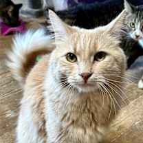 Thumbnail photo of Mason #1