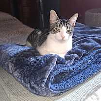 Thumbnail photo of Marty #4