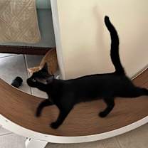 Thumbnail photo of Bea #2