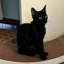 Thumbnail photo of Bea #3