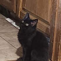 Thumbnail photo of Michelada #1