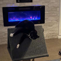 Thumbnail photo of SVEN #2