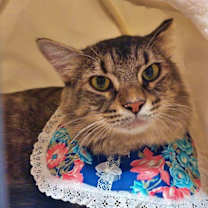 Thumbnail photo of Hope #1