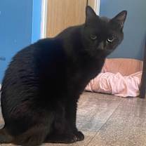 Thumbnail photo of Grizzly #3