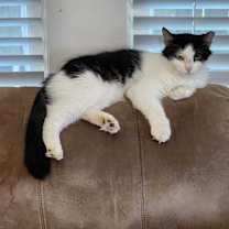 Thumbnail photo of Millie #1