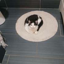 Thumbnail photo of Millie #3