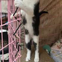 Thumbnail photo of ECLIPSE #4