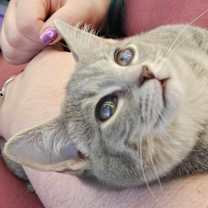 Thumbnail photo of Tina #1