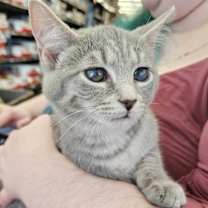 Thumbnail photo of Tina #2