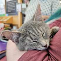 Thumbnail photo of Tina #3