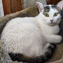 Thumbnail photo of Kelly Rita #2