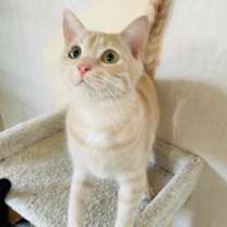 Thumbnail photo of SPUNKY SONNY #1