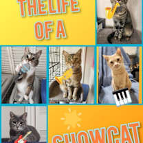 Thumbnail photo of Dawson #2