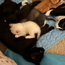 Thumbnail photo of May #4