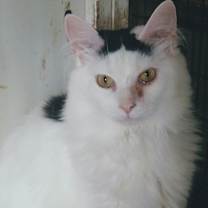 Thumbnail photo of Felicia #2