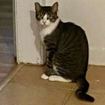 Thumbnail photo of Annie #1