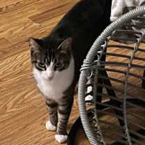 Thumbnail photo of Annie #2