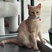 Thumbnail photo of Selissa #2