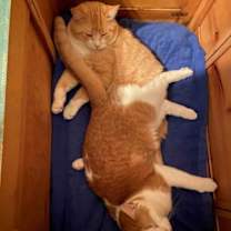 Thumbnail photo of Tucker #4