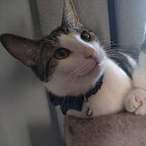Thumbnail photo of Gale #2