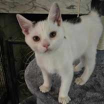 Thumbnail photo of Gabe #1