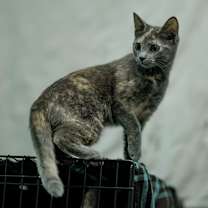 Thumbnail photo of Emerie #2