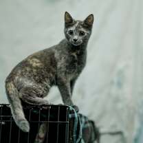 Thumbnail photo of Emerie #4