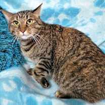 Thumbnail photo of SIENNA #1