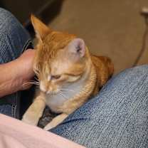 Thumbnail photo of TJ #1