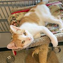 Thumbnail photo of Dolly #2