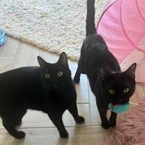 Thumbnail photo of Mitch & Starla #1