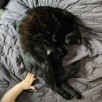 Thumbnail photo of Darla #3