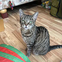 Thumbnail photo of Vivian #1