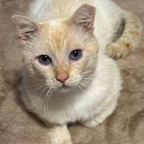 Thumbnail photo of Sydney #1