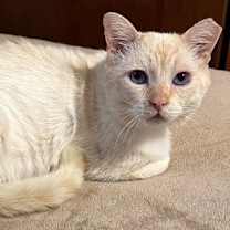 Thumbnail photo of Sydney #2