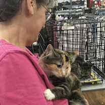 Thumbnail photo of Peach #3