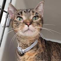 Thumbnail photo of Sissy #1